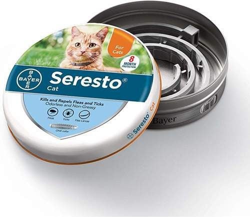 Bayer seresto for cats best sale